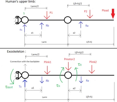 Figure 4 shows the exoskeleton-upper limb model, highlighting all the acting forces/torques, where: