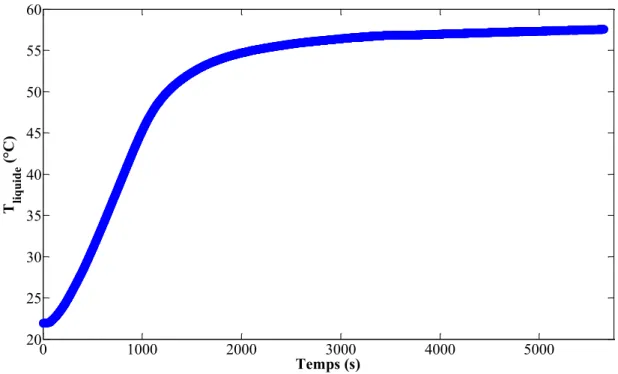 Figure 3.7 : Montée en température de l’acétone dans l’enceinte à l’aide du bain thermostaté 