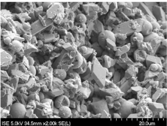 Figure 1.8 – SEM image of PCM micro-capsules in gypsum plaster [19]