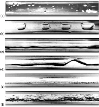 Figure 3.8: Photographs of air-water flow patterns in a 3.00 inner diameter tube visualized by [Yang and Shieh (2001)]: (a) bubble flow, (b) plug flow, (c) wavy flow, (d) slug flow, (e) annular flow, and (f) dispersed flow.