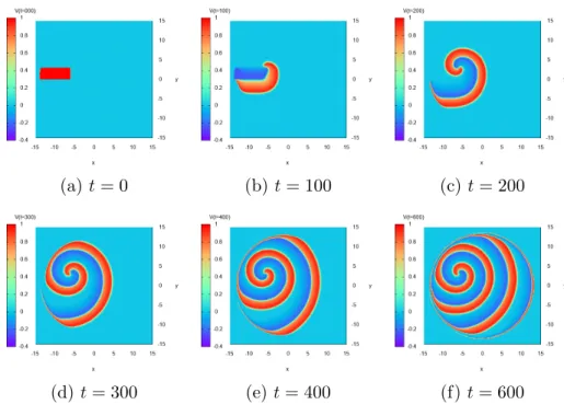 Figure 3.4: Rotating spiral waves : plot of the solution V ε for ε = 0.5 at different time t ∈ [0, 600].
