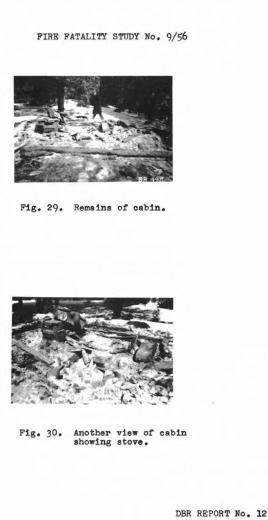 Fig. 29. Remains of oabin.