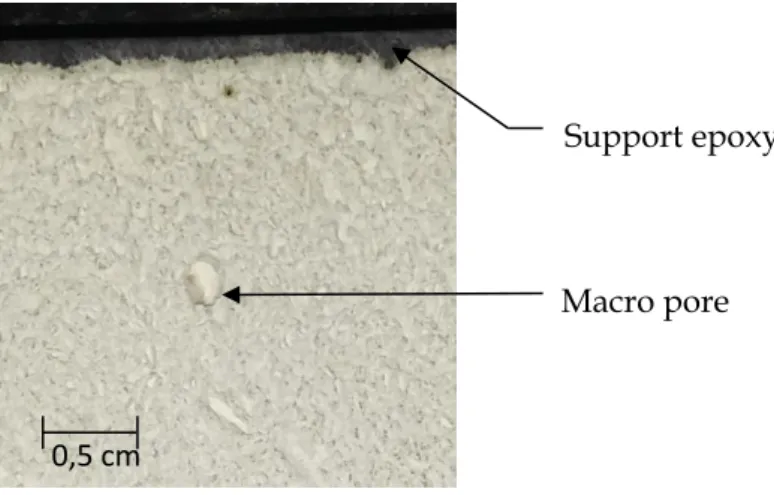 Figure 2.1 : Photo de la surface du poreux PACT dans son support en époxy 