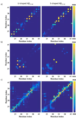 Figure 3. (a) U-shaped and S-shaped probability contact maps of inter-chain hydrogen bonds; (b) U- U-shaped and U-shaped probability contact maps of intra-chain hydrogen bonds; (c) U-U-shaped and  S-shaped probability contact maps of inter-chain non-bonded
