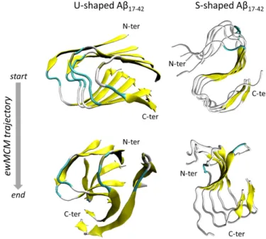 Figure 5. Snapshots representing the starting and the final configuration extracted from the ensemble  weighted Maximally Correlated Motion (ewMCM)  for U-shaped and S-shaped models after  performing the Functional Mode Analysis (FMA) on the REMD ensemble 