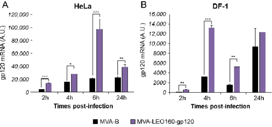 Figure  2. MVA-LEO160-gp120  enhances  the  mRNA  levels  of  HIV-1  gp120,  compared  to  MVA-B