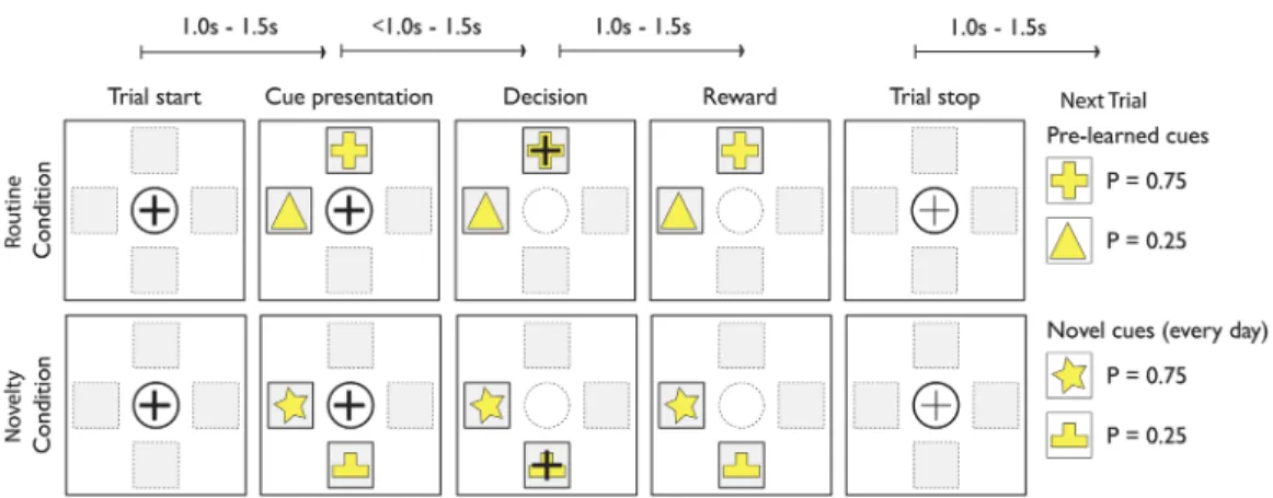 FIG. 1. Behavioral paradigm. A session consisted of at least 250 trials broken up into alternate blocks of 10 trials in routine (top) or novelty (bottom) conditions