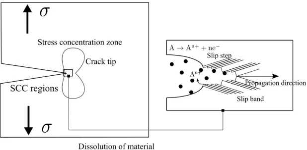Figure 4: Description of chemi-mechanical phenomena of stress corrosion cracking by slip dissolution at crack tip