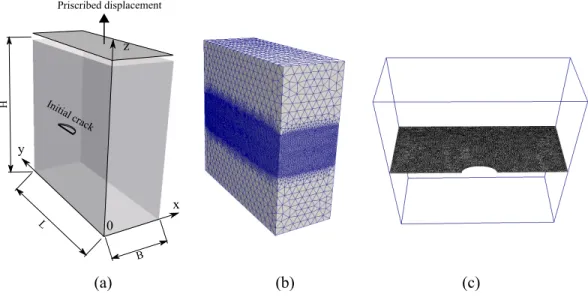 Figure 10: Tensile test of a structure containing a semi elliptical crack: (a) geometry and boundary conditions; (b) surface view of FEM mesh; (c) mesh view of process zone