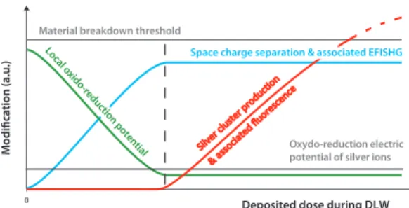 Fig. 6. Sketch of build-up mechanisms, consisting first in a net space charge separation with a  saturation plateau, subsequently followed by the growth and stabilization of silver fluorescent  clusters with no visible saturation plateau here