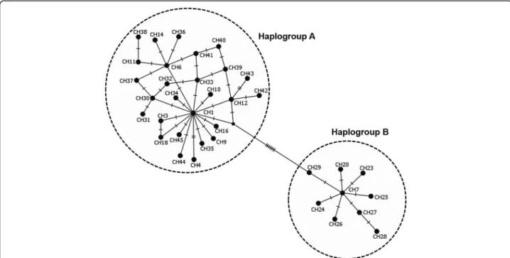 Fig. 4 Median-joining network of the 36 cox 1 haplotypes for R. appendiculatus ticks across sub-Saharan African countries