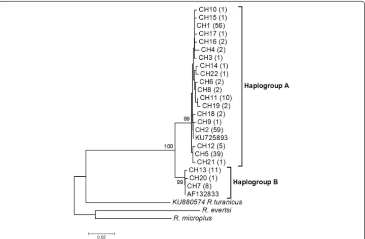 Table S3). Haplogroup B comprised of haplotypes present in most AEZs except the highlands region of Burundi (Burundi AEZ3)