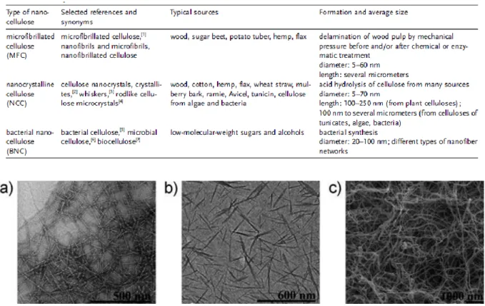 Fig 1.2.1 TEM micrographs of a) MFC 49  and b) NCC 50 ; SEM micrograph of c) BNC 48