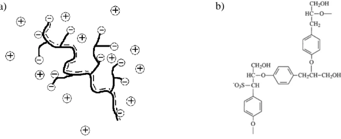 Fig 1.2.5 a) A schematic view of NaLS macromolecule 14  (cycles indicate the charge groups: 