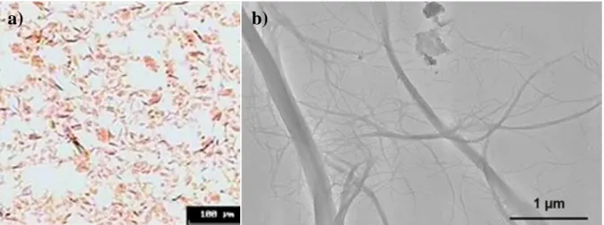 Fig 2.1.1 Morphology of the used MFC under a) optical microscopy and b) scanning electron  microscopy 