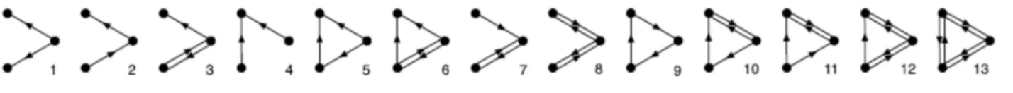 Figure 6. The 13 possible triadic motifs involving three connected vertices 20 .