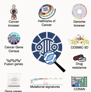 Figure I.8. Overview of COSMIC tools   Adopted from COSMIC 