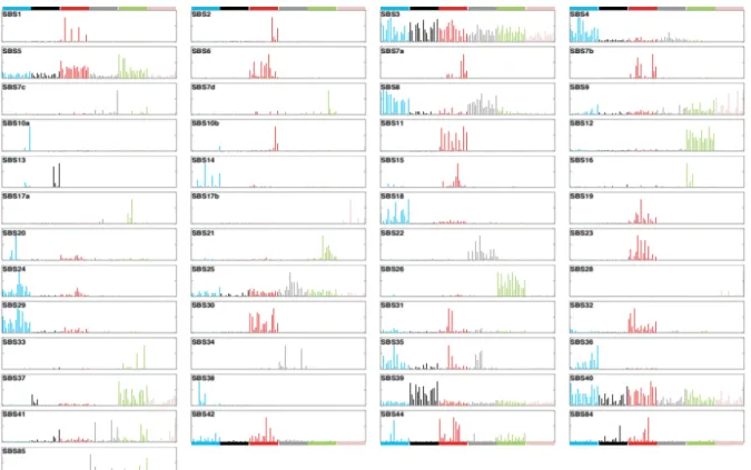 Figure I.10. Patterns of mutational signatures (v3 – May 2019) : 49 SBS  Adopted from COSMIC