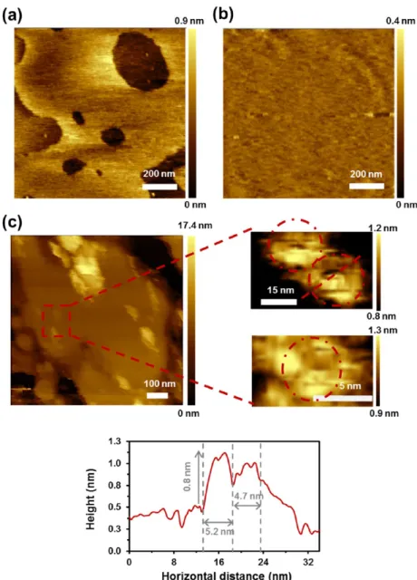 Figure 8c displays, on one hand, the adhesion map, as obtained from the FD curves recorded in each pixel, and, on the other hand, both the pro ﬁ le and histogram of the di ﬀ erence between lipid bilayer and protein adhesion