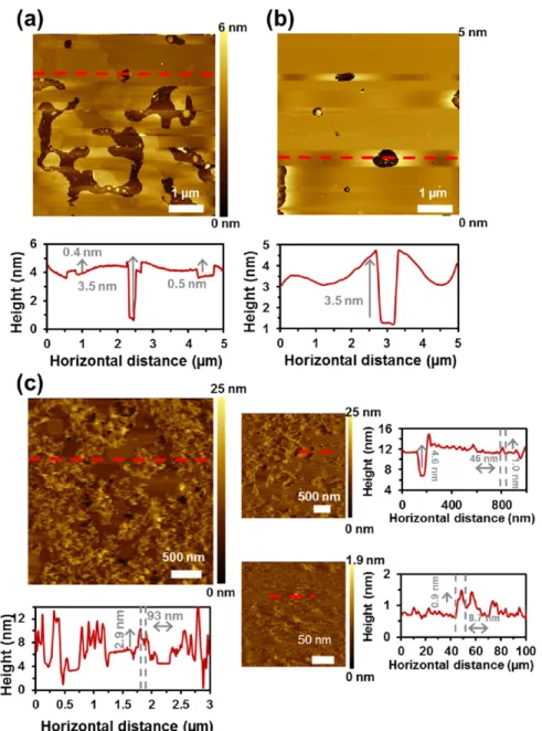Figure 8a shows a 2 × 2 μ m 2 topographic image of Omp2a molecules embedded on the lipid membrane over a mica substrate, which was obtained in the PeakForce QNM tapping mode