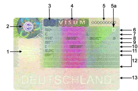 Figure 3 - Schengen Visa model 