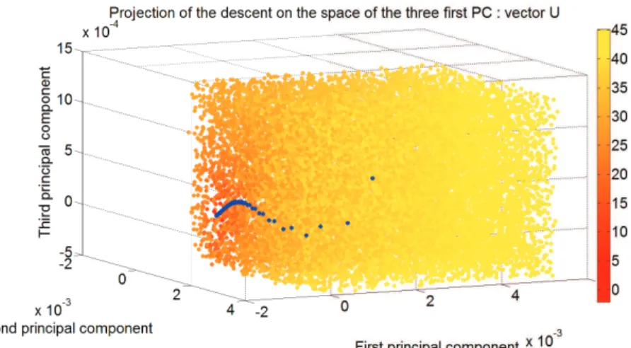 Figure 6.7: Projection of the descent on the projection space with some randomly chosen values of the cost function