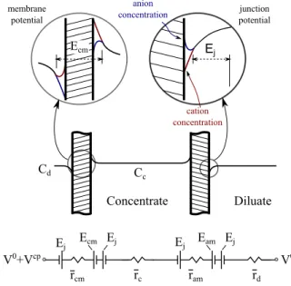 Figure 3: Representation of the voltage drop and concentration change across a single cell pair