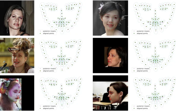 Fig. 14: Some examples of the best scores obtained with GStudent-EM and the ground-truth landmarks.