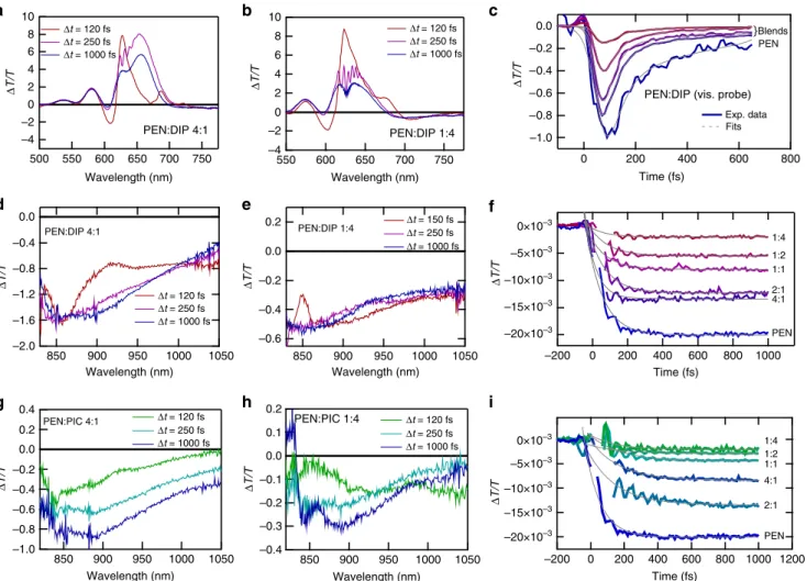 Fig. 5 Calculated evolution of triplet pair population. Population of triplet pair (TT) from quantum dynamics calculations (solid lines) and exponential ﬁ ts (dotted lines)