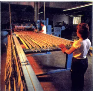 Figure  2.5:  Truss Panel  assembly  line.  Trusses  are being  put  in  place  for  spot  welding.