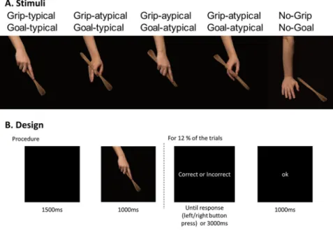 Figure 3.  Design and procedure of the experiment. (A) Stimuli were divided in four experimental conditions  by manipulating the typicality of the grip and the goal of the action