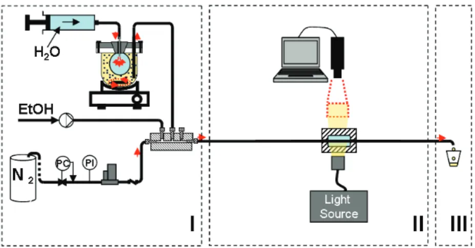 Figure 3 . 1 : Experimental set-up used for G-L “slurry Taylor” ﬂow visualisation experiments: (I) in- in-jection zone for gas and liquid-solid suspension; (II) reaction and visualization zone; (III) sample collection zone.