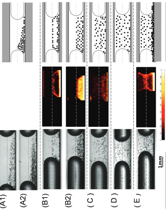 Figure 3 . 9 : (The picture was ﬂipped by 90°.) For each ﬂow pattern, a photograph, the representative image indicating the probability of particle presence as a result of the Matlab program and the symbol used in the following discussion for the ﬂow patte