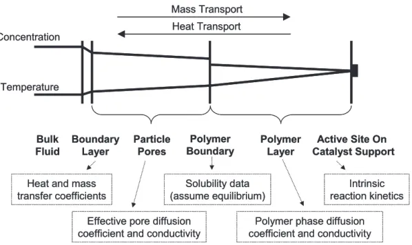 Figure 1-6: Main phenomena accounted for in particle scale models for olefin polymerisation BulkFluidBoundaryLayerParticlePoresPolymerLayerPolymer
