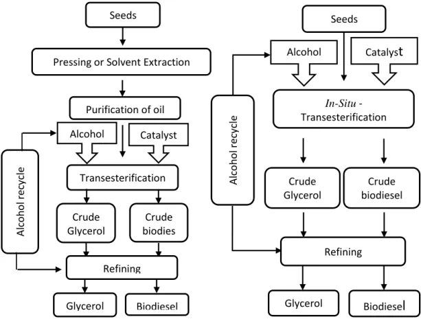Figure 2-12. Comparison between transesterification and in-situ transesterification process 