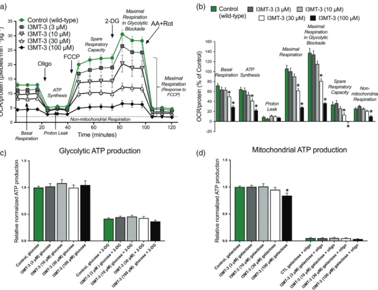 FIGURE 8 3 ‐ MST pharmacological inhibition blocks mitochondrial oxidative phosphorylation and ATP production