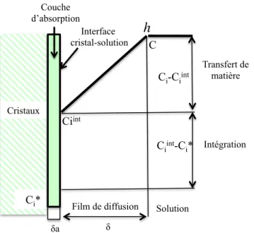 Figure 1.10. Profil de concentration autour d'un cristal dans le cas du modèle du film  (Modifiée de Veesler et al