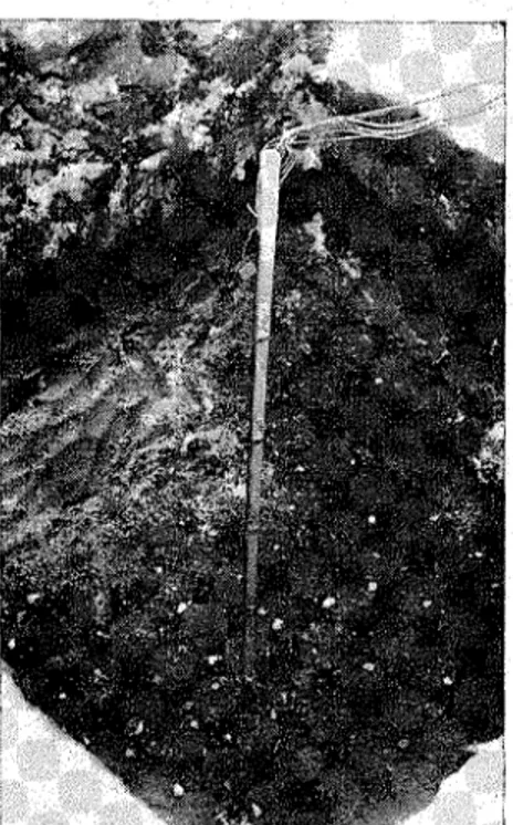 Fig.  2.  Thermocouples  located  i n  test  pit  in  clay;  Ottawa,  Ont. 