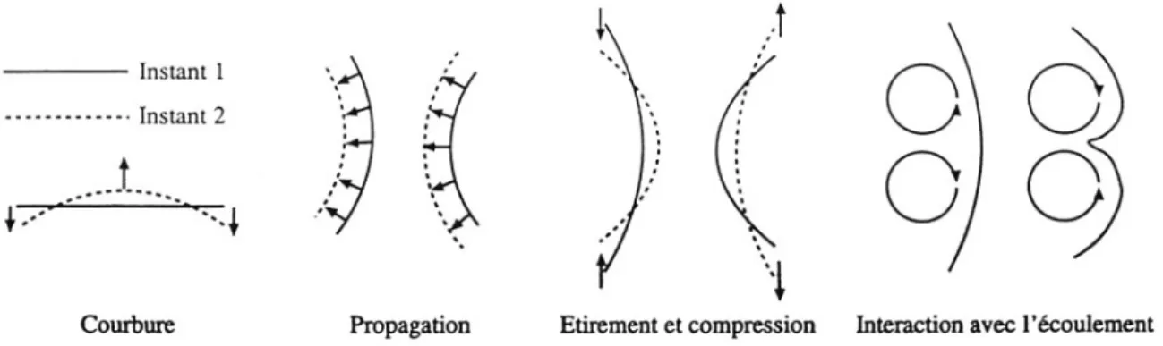 Figure 2-8 Mécanismes de modification de la courbure par l’écoulement turbulent. [Haworth 1992], [Pope  1988] 