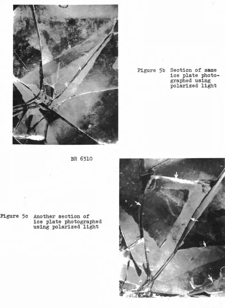 Figure 5b Section of same ice plate  photo-graphed using polarized light