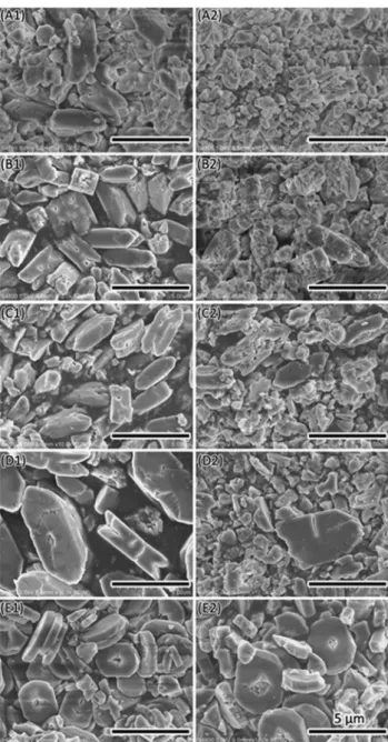 Fig. 5 XRD results illustrate changing from COM to COD formed with di ﬀ erent concentration of casein.