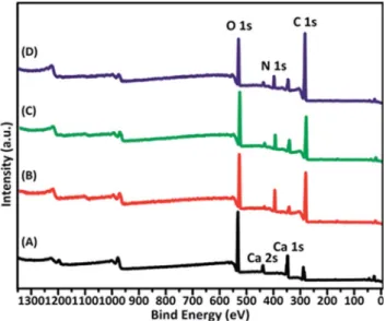 Fig. 7 XPS survey scan for CaO x crystals formed within di ﬀ erent additives in solution (A) CaO x , (B) 0.2 g L 1 casein, (C) 0.2 g L 1 casein + 2 mmol L 1 Mg 2+ , (D) 0.2 g L 1 casein + 1 mmol L 1 Na 3 Citrate.