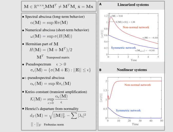 Table 1. Summary of non-normal dynamics. In the left panel, we summarize some of the main concepts related to non-normal dynamics