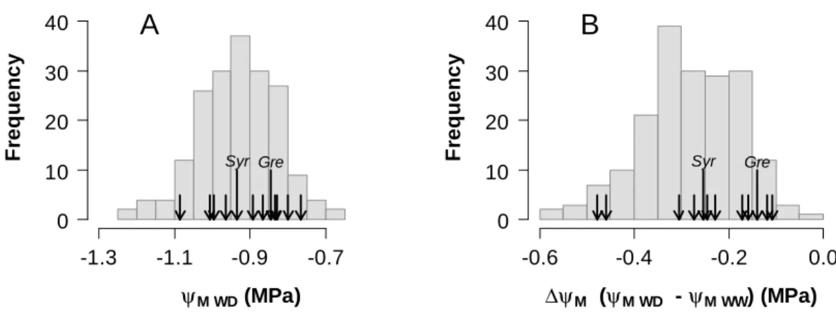 Fig. 2. Characterisation of (an)isohydric behaviours for a selection of ten offspring genotypes as  compared  to  the  whole  progeny  and  the  parents  Syrah  and  Grenache