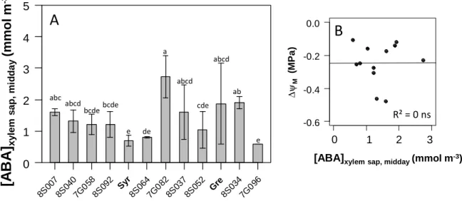 Fig.  3.  Concentration  of  ABA  in  the  xylem  sap  ([ABA]   xylem  sap,  midday )  of  10  offspring  genotypes  selected  in  the  Syrah  ×  Grenache  population  and  the  parents,  and  relationship  with  the  (an)isohydric  behaviour
