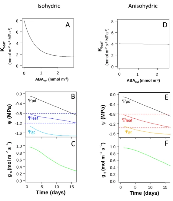 Fig.  7.  Modelling  confirms  the  influence  of  differential  downregulation  of  K leaf   by  ABA  on  the  overall (an)isohydric behaviour of the plant