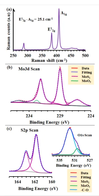 Figure 3d is a filtered HRTEM image showing evidence of MoS 2  NS stacking defects highlighted by the arrows