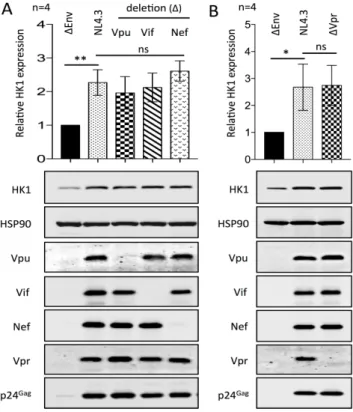 Figure 5. HIV-1 accessory proteins are not required for the upregulation of HK1 in CD4+ T cells  infected with HIV-1 NL4.3