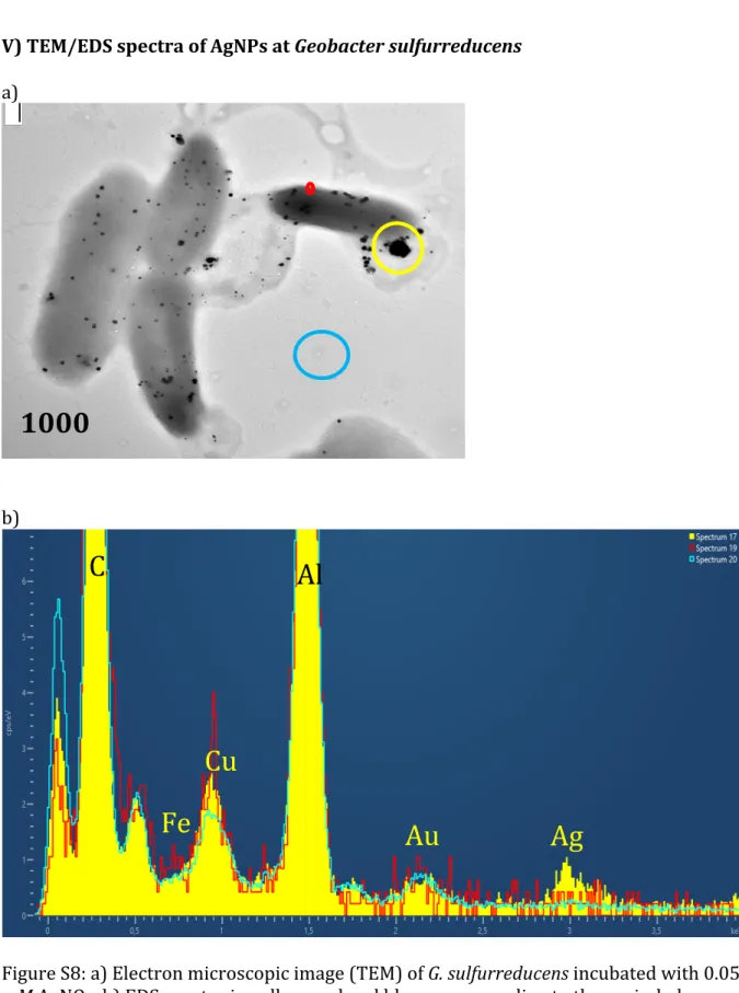 Figure   S8:   a)   Electron   microscopic   image   (TEM)   of   G.   sulfurreducens   incubated   with   0.05    mM   AgNO 3 ;   b)   EDS   spectra   in   yellow,   red   and   blue   corresponding   to   the   encircled   areas    shown   on   the   TEM