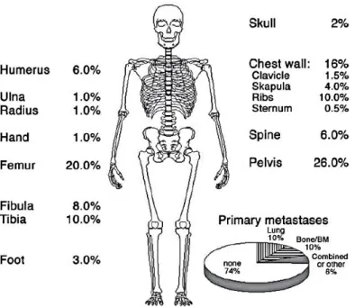 Figure 1: Most frequent primary tumor and metastatic sites in skeletal Ewing sarcoma. From  Bernstein et al., 2006 